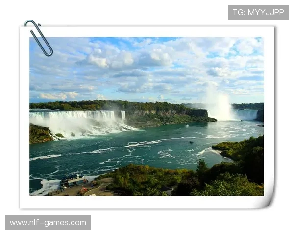 威金斯扛旗枫叶国 展现加拿大篮球骄傲